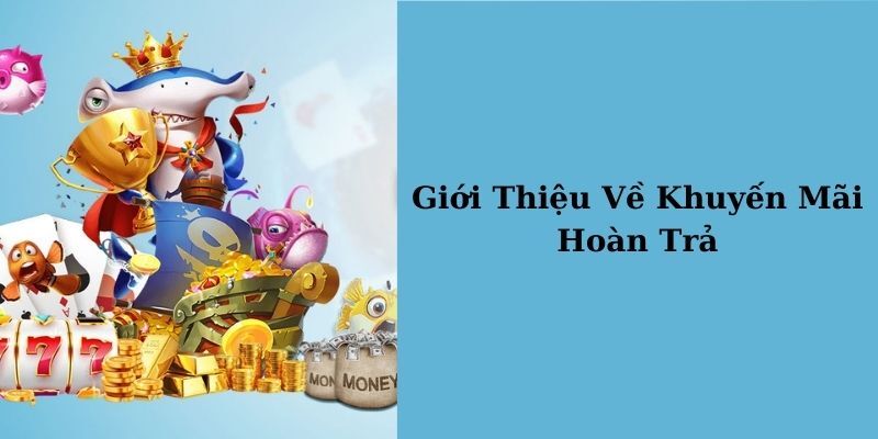 Ưu đãi hoàn trả là gì?